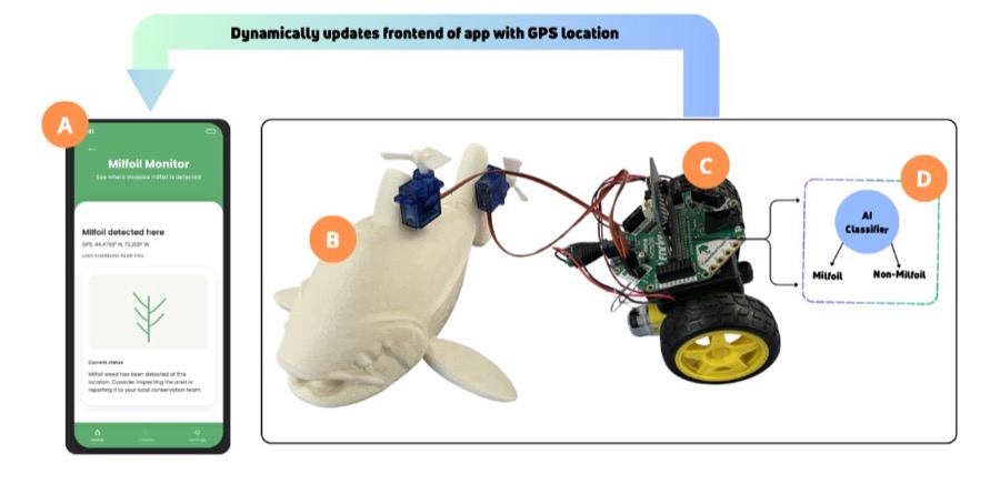 Publication image for Milfoil Milly: Supporting Youth Maker Identity Development Through Sustainability-Focused Co-Design
